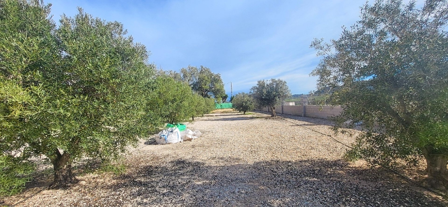  te koop boerderij Monóvar Vinalopó Mitjà 5