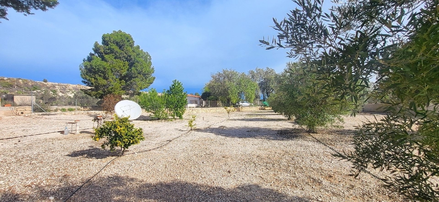  te koop boerderij Monóvar Vinalopó Mitjà 8