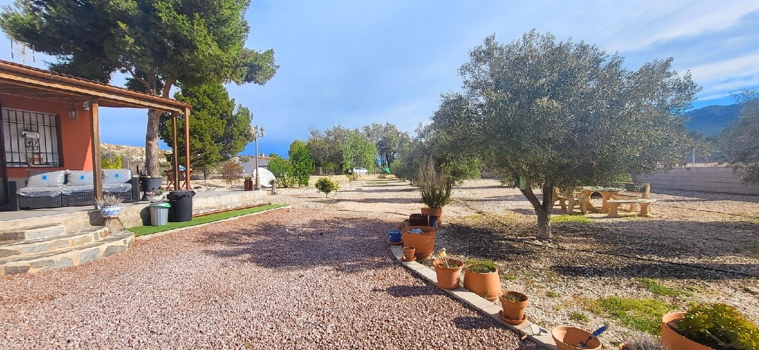 te koop boerderij Monóvar Vinalopó Mitjà 9