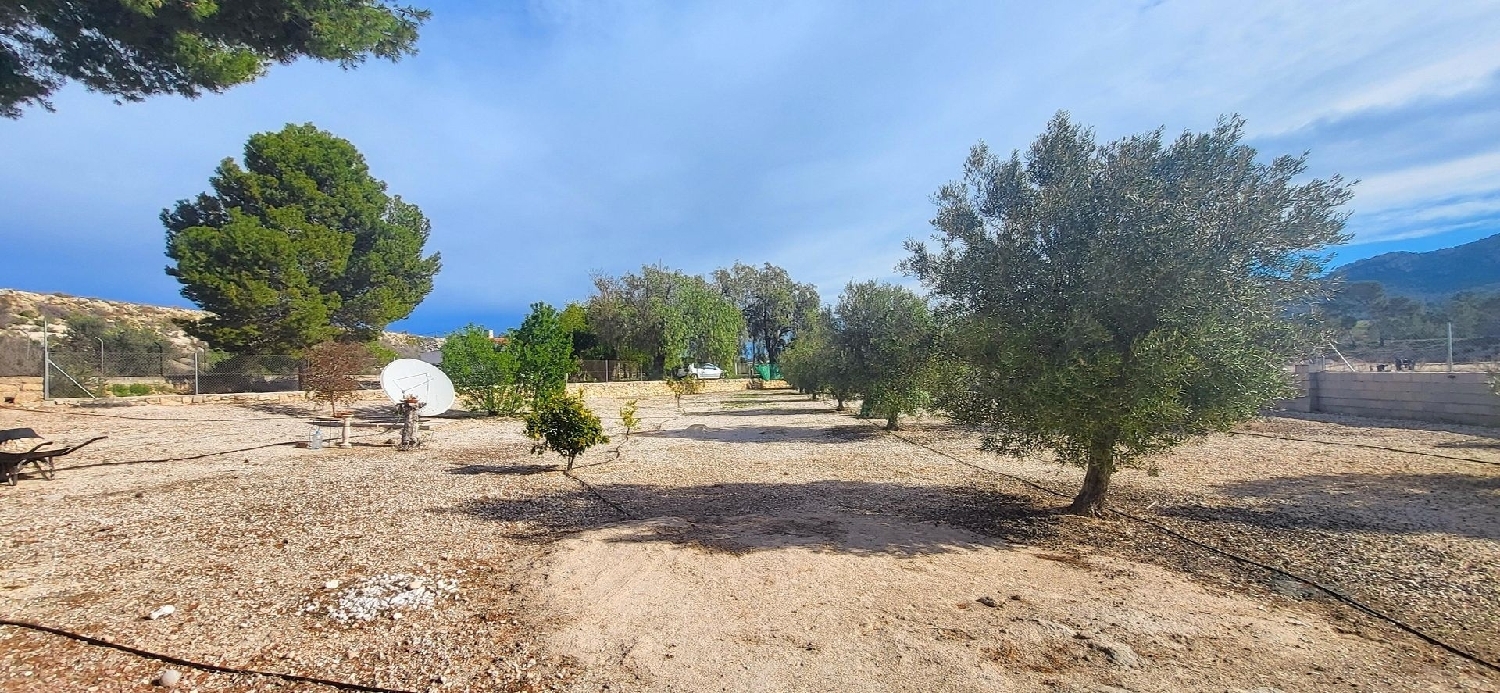  te koop boerderij Monóvar Vinalopó Mitjà 6