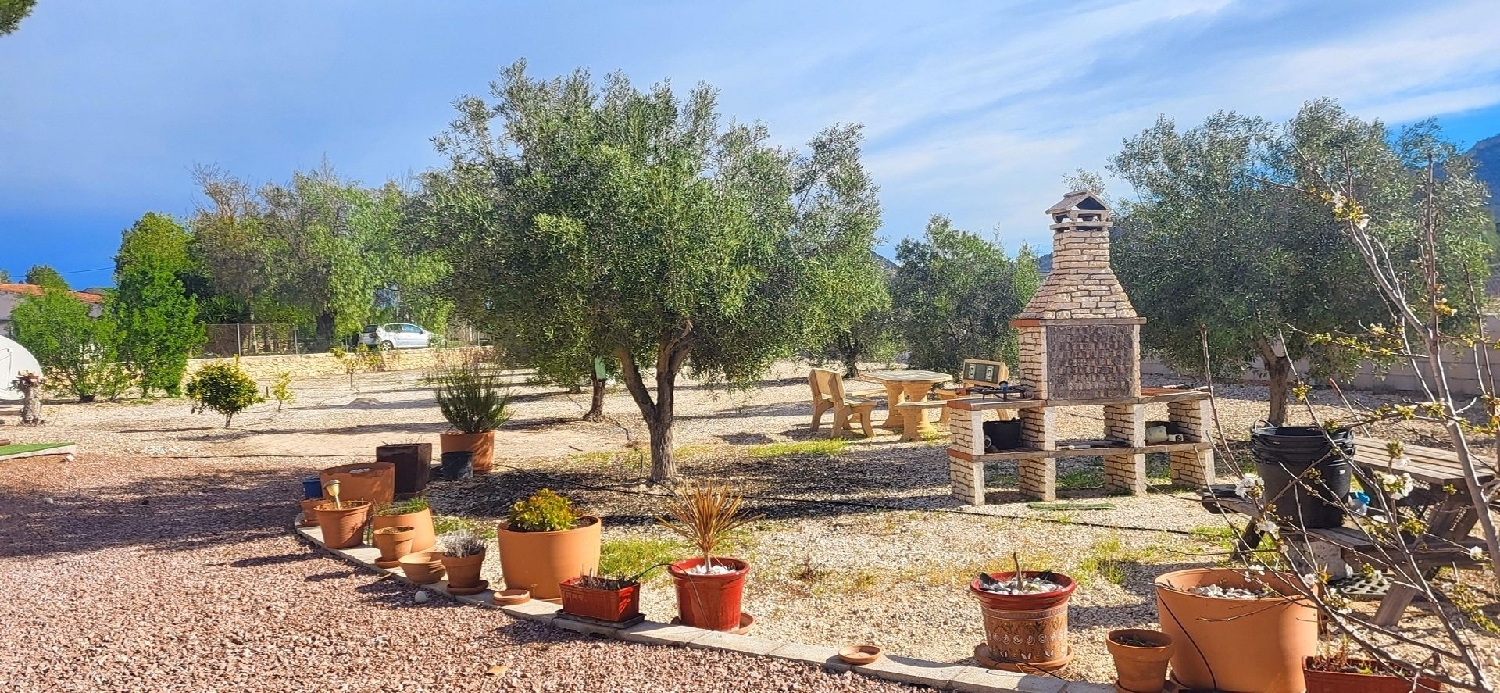  te koop boerderij Monóvar Vinalopó Mitjà 4