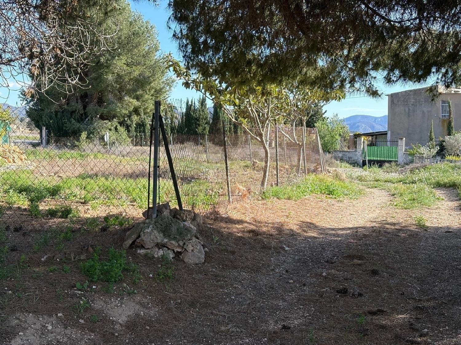 kaufen Landhaus Monóvar Vinalopó Mitjà 5