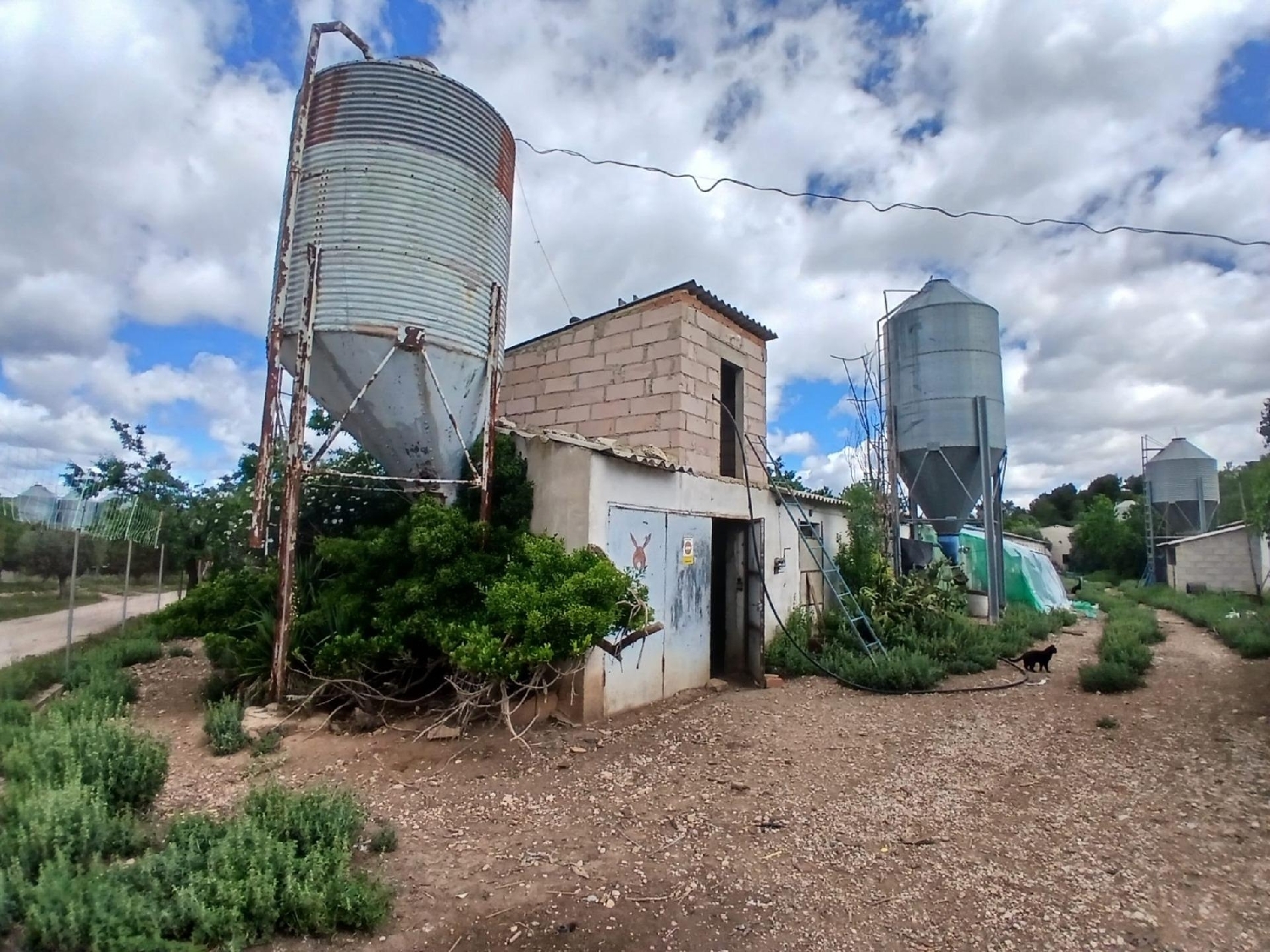 en venta finca rústica Peñarroya De Tastavins Matarraña 2
