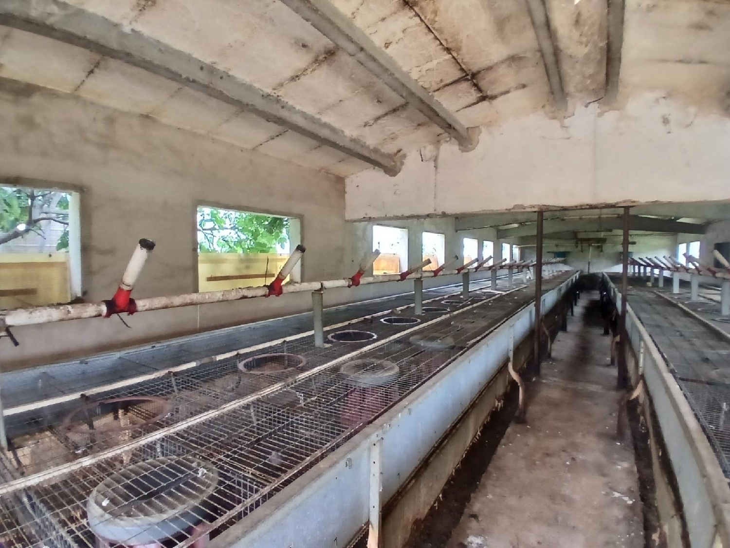 en venta finca rústica Peñarroya De Tastavins Matarraña 5