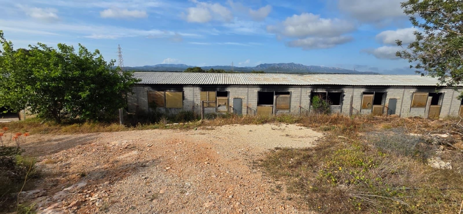  en venta finca rústica Perelló Gironès 2