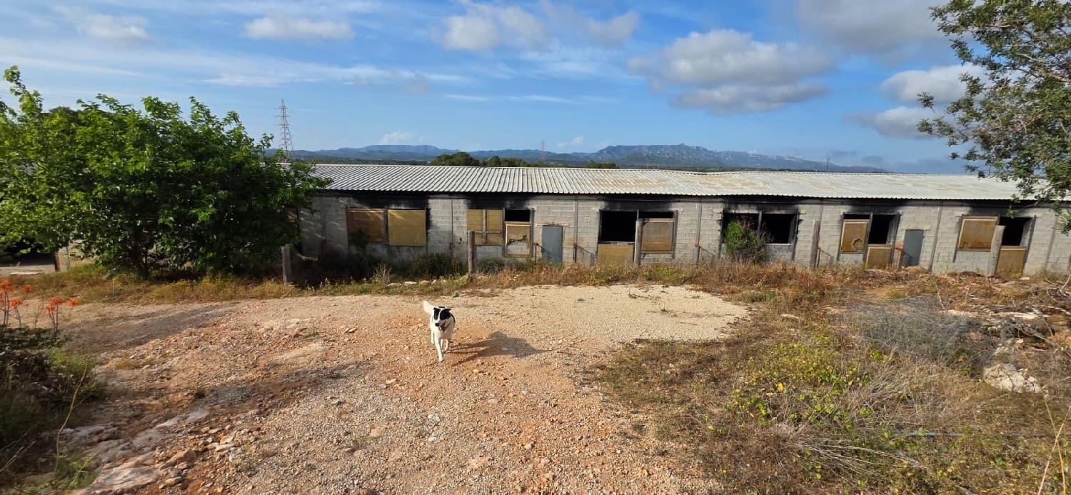  en venta finca rústica Perelló Gironès 4