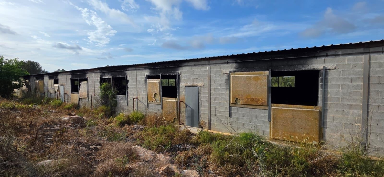  en venta finca rústica Perelló Gironès 7