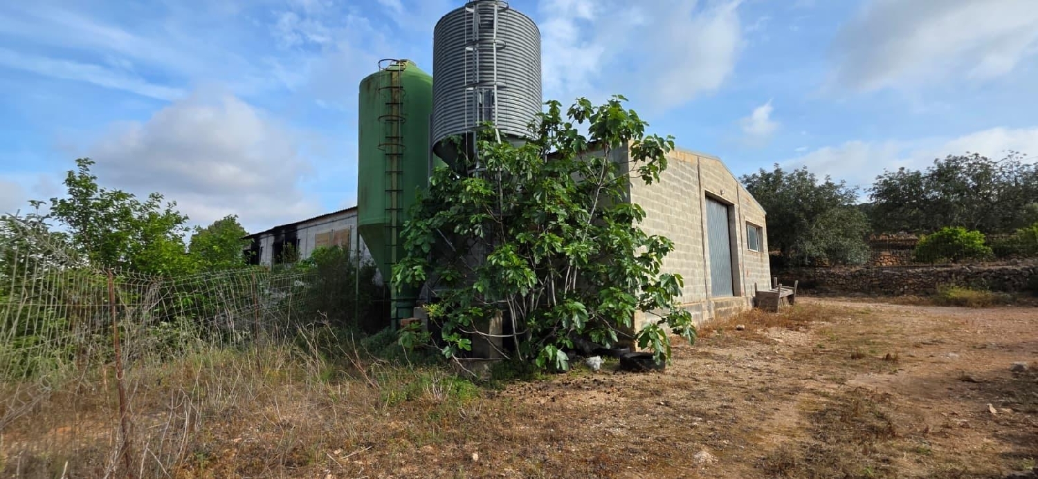  en venta finca rústica Perelló Gironès 6