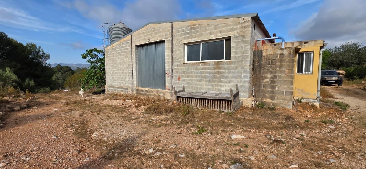  en venta finca rústica Perelló Gironès 3
