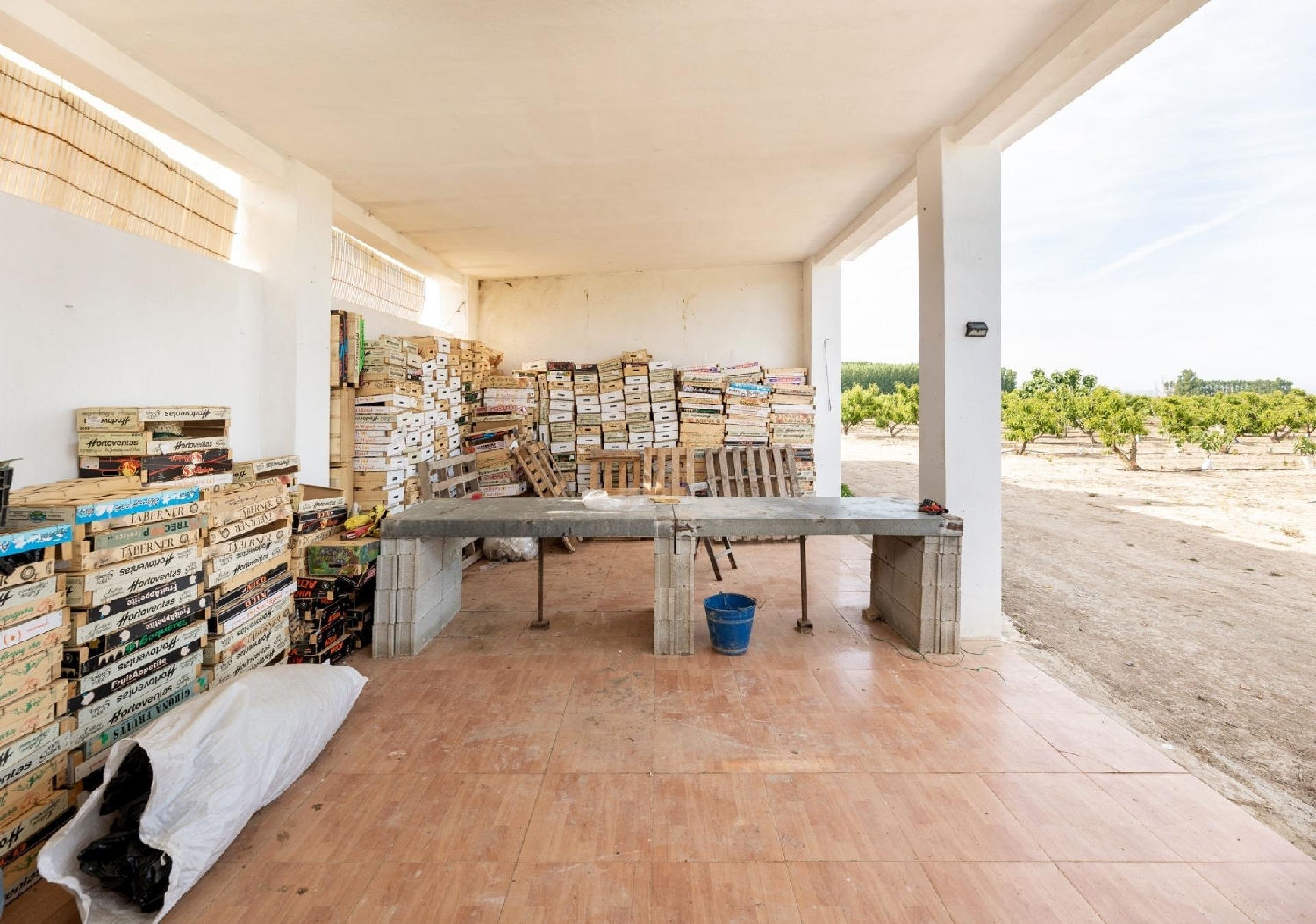  en venta finca rústica Pinos Puente Vega De Granada 8