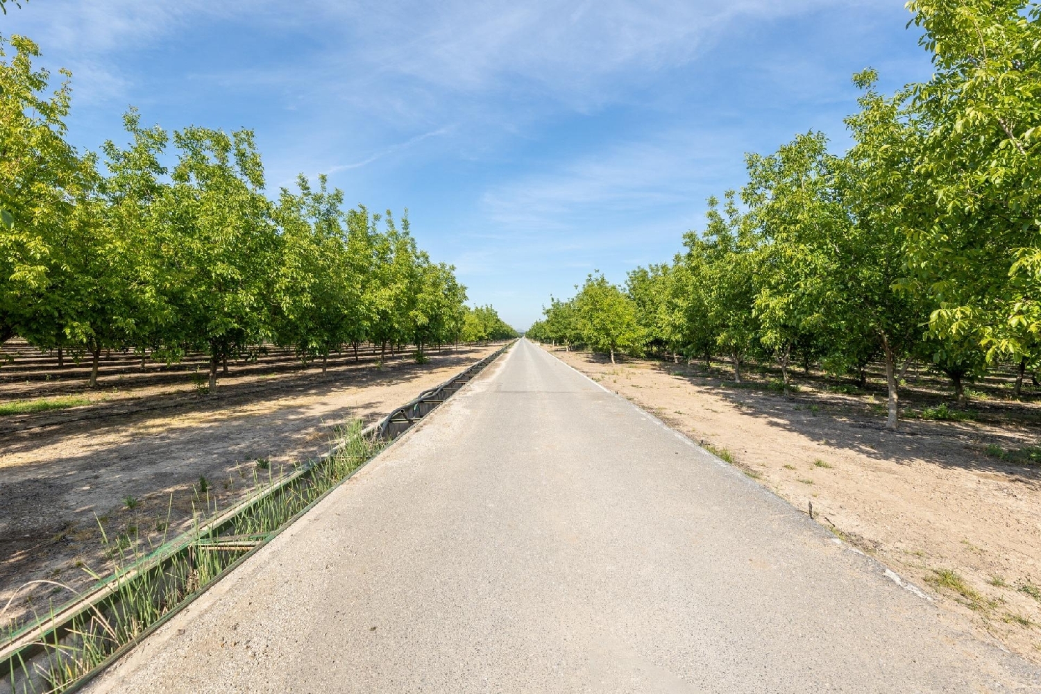  en venta finca rústica Pinos Puente Vega De Granada 3