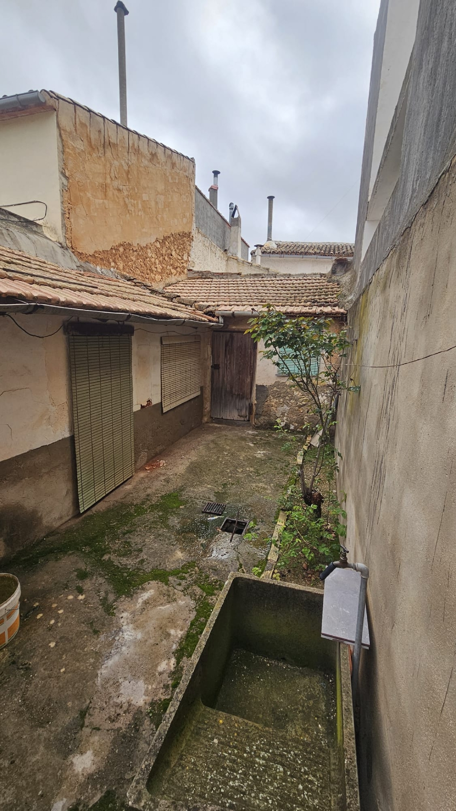  en venta finca rústica Pinoso Vinalopó Mitjà 4