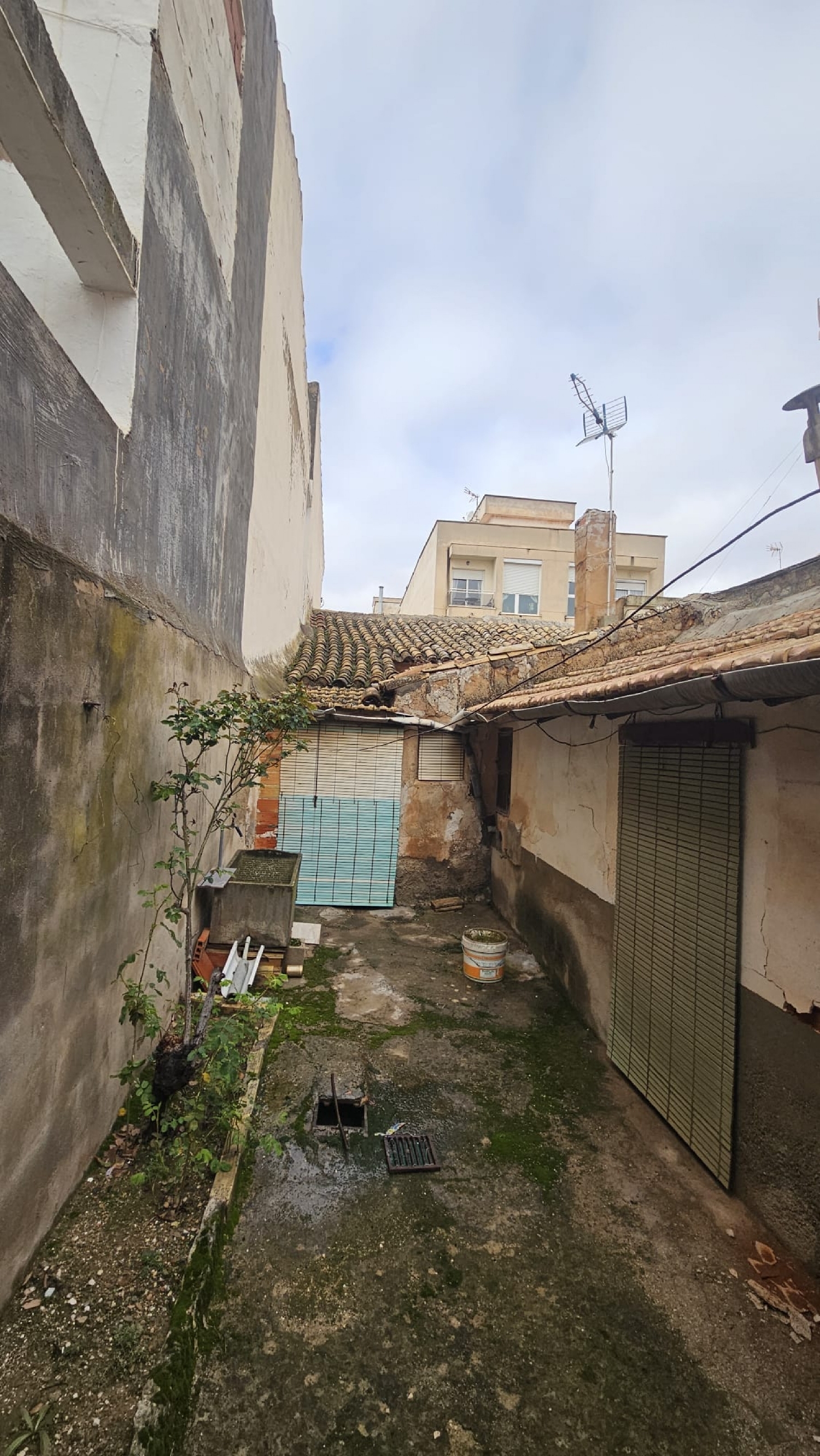  en venta finca rústica Pinoso Vinalopó Mitjà 3