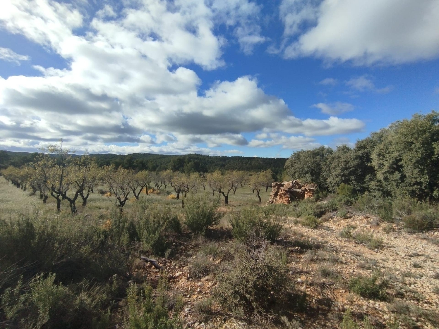  for sale country house Ráfales Matarraña 5