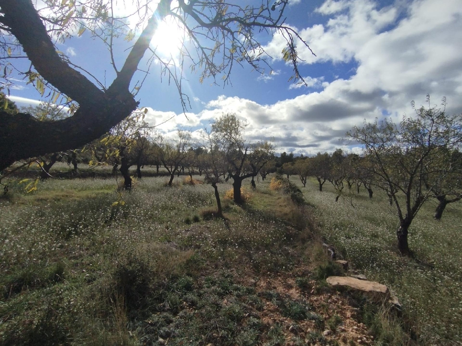  for sale country house Ráfales Matarraña 3