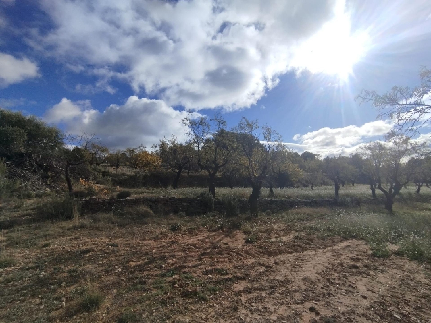  for sale country house Ráfales Matarraña 6