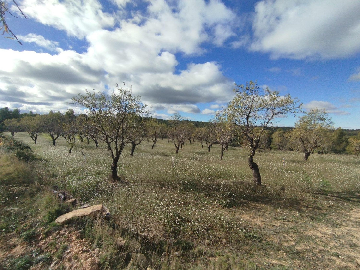  for sale country house Ráfales Matarraña 4