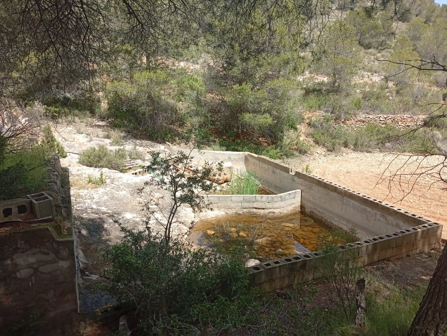  for sale country house Salinas Alt Vinalopó 5