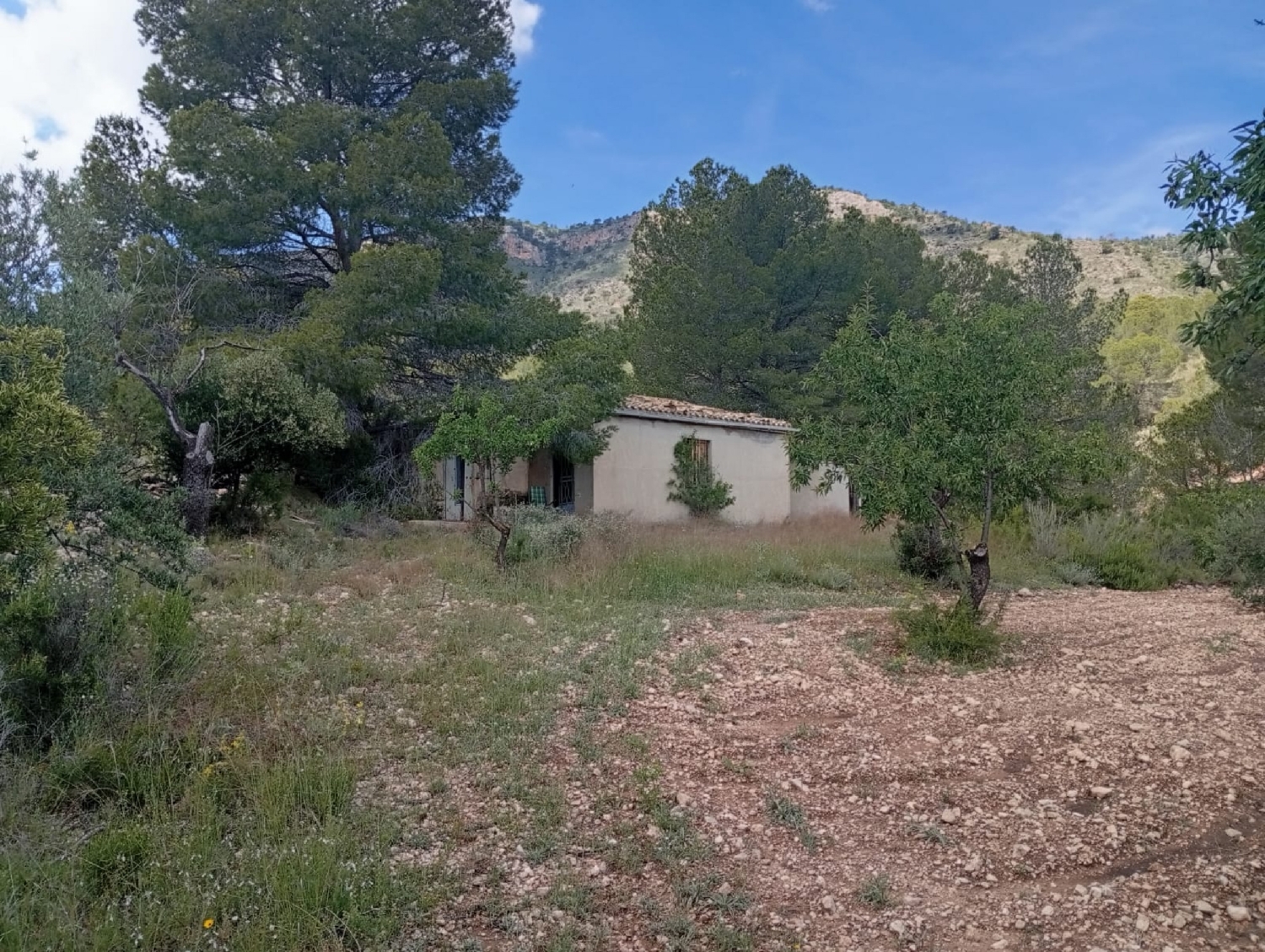  for sale country house Salinas Alt Vinalopó 1