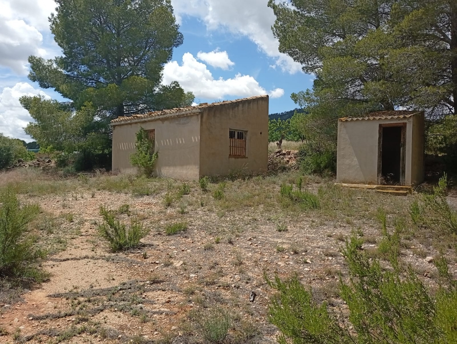  for sale country house Salinas Alt Vinalopó 2