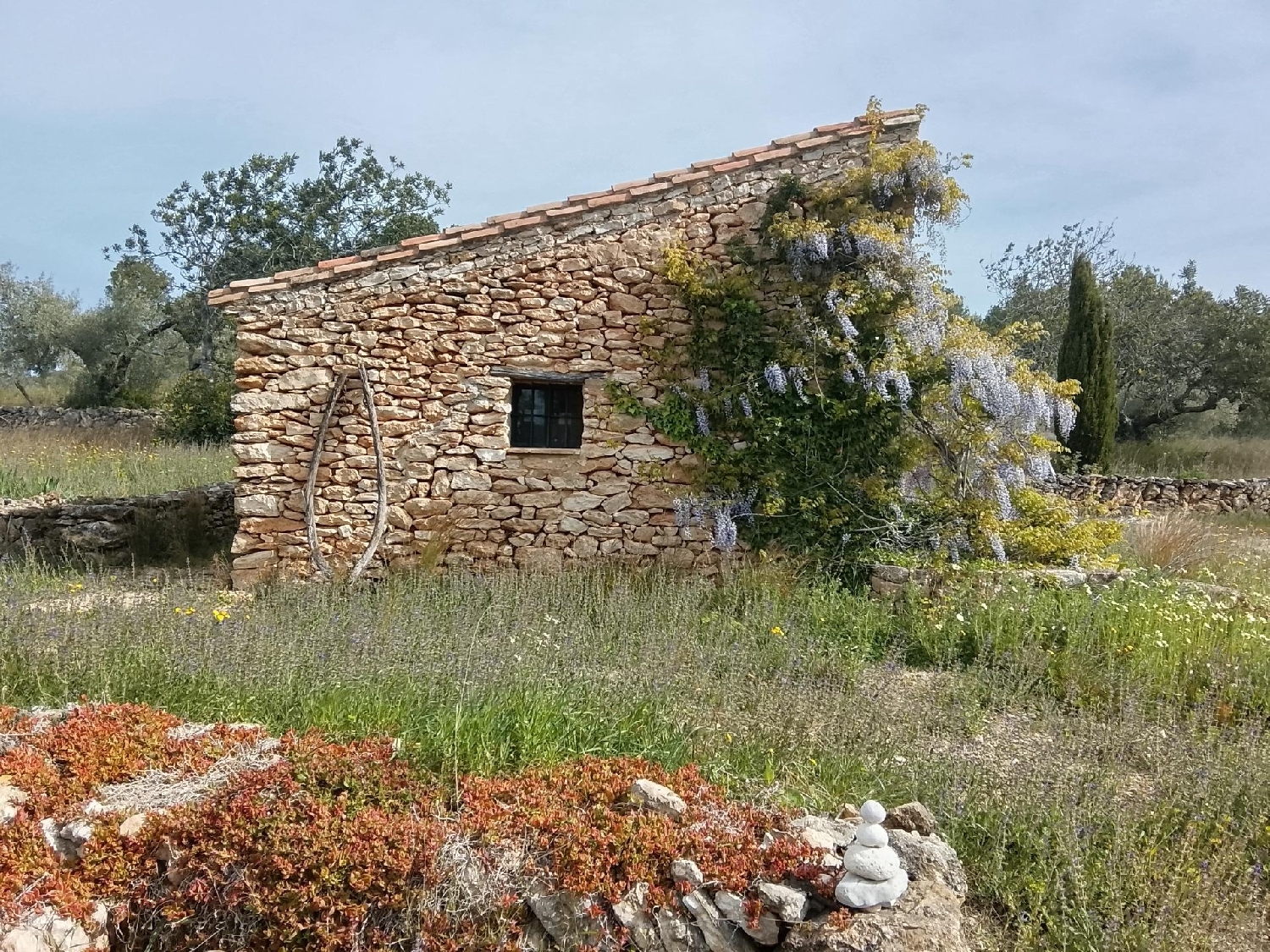  till salu hus på landet Tivissa Ribera D'ebre 4