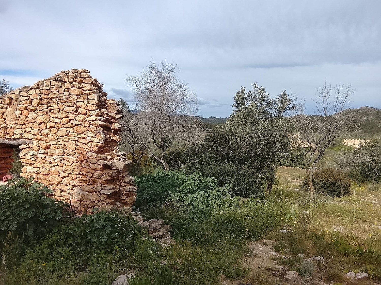  till salu hus på landet Tivissa Ribera D'ebre 7