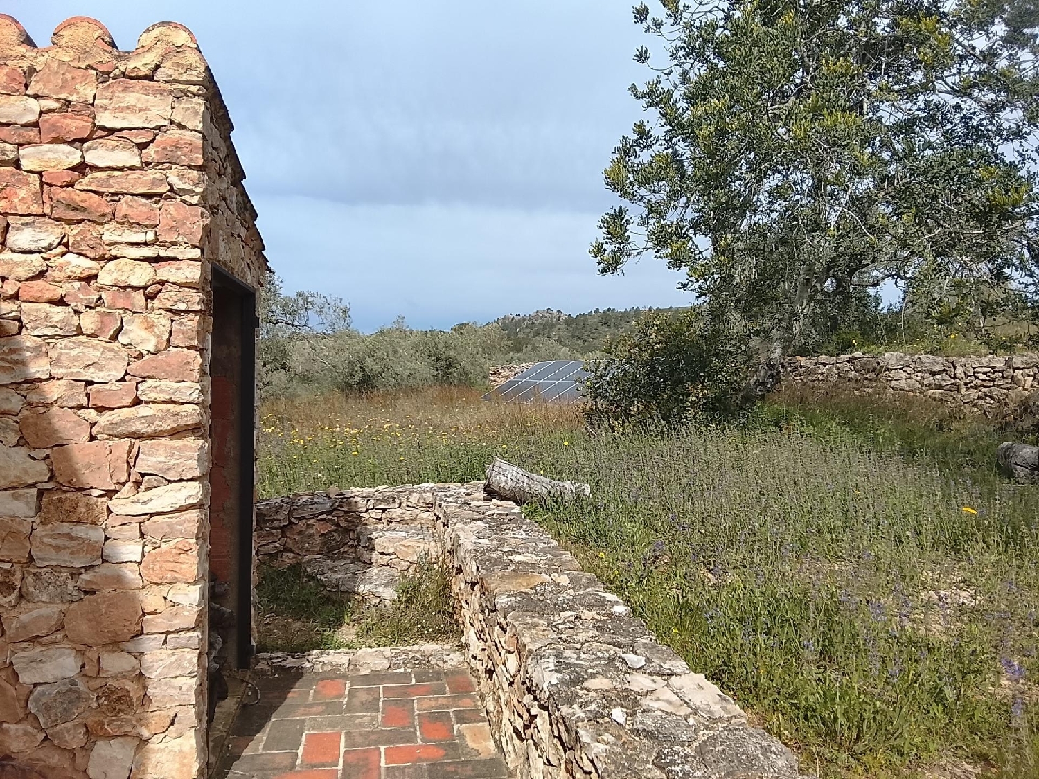  till salu hus på landet Tivissa Ribera D'ebre 5