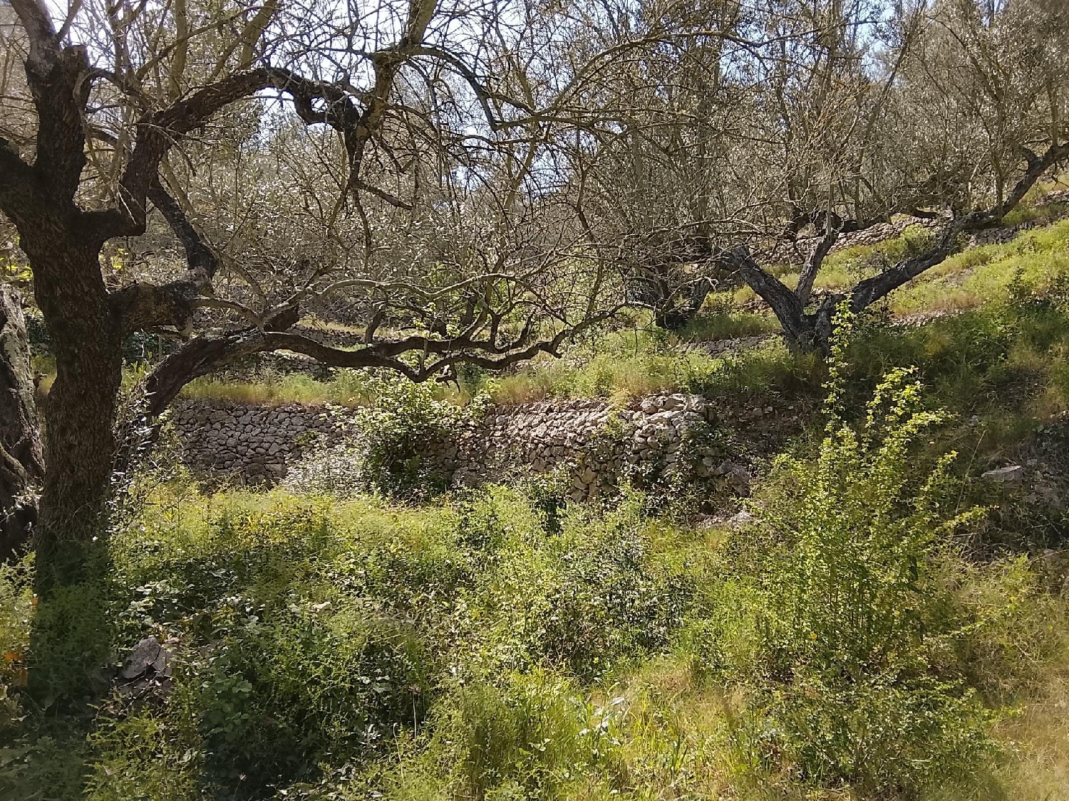  till salu hus på landet Tortosa Baix Ebre 6