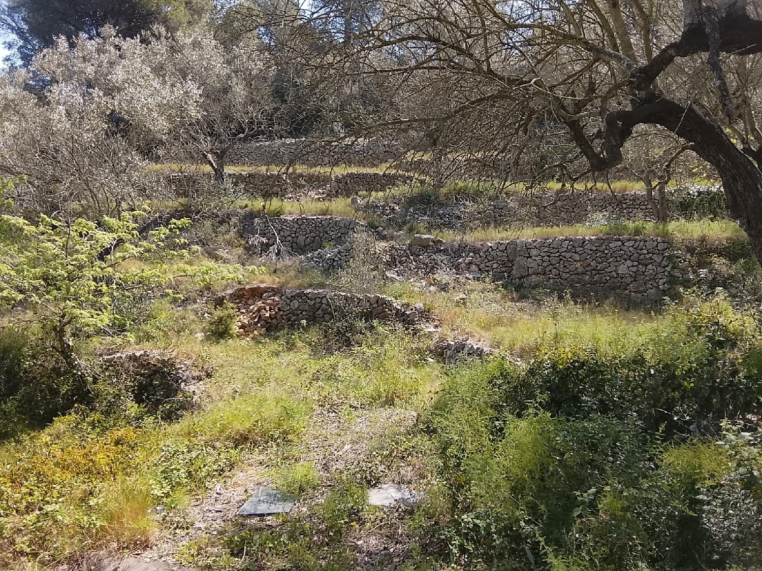  till salu hus på landet Tortosa Baix Ebre 7