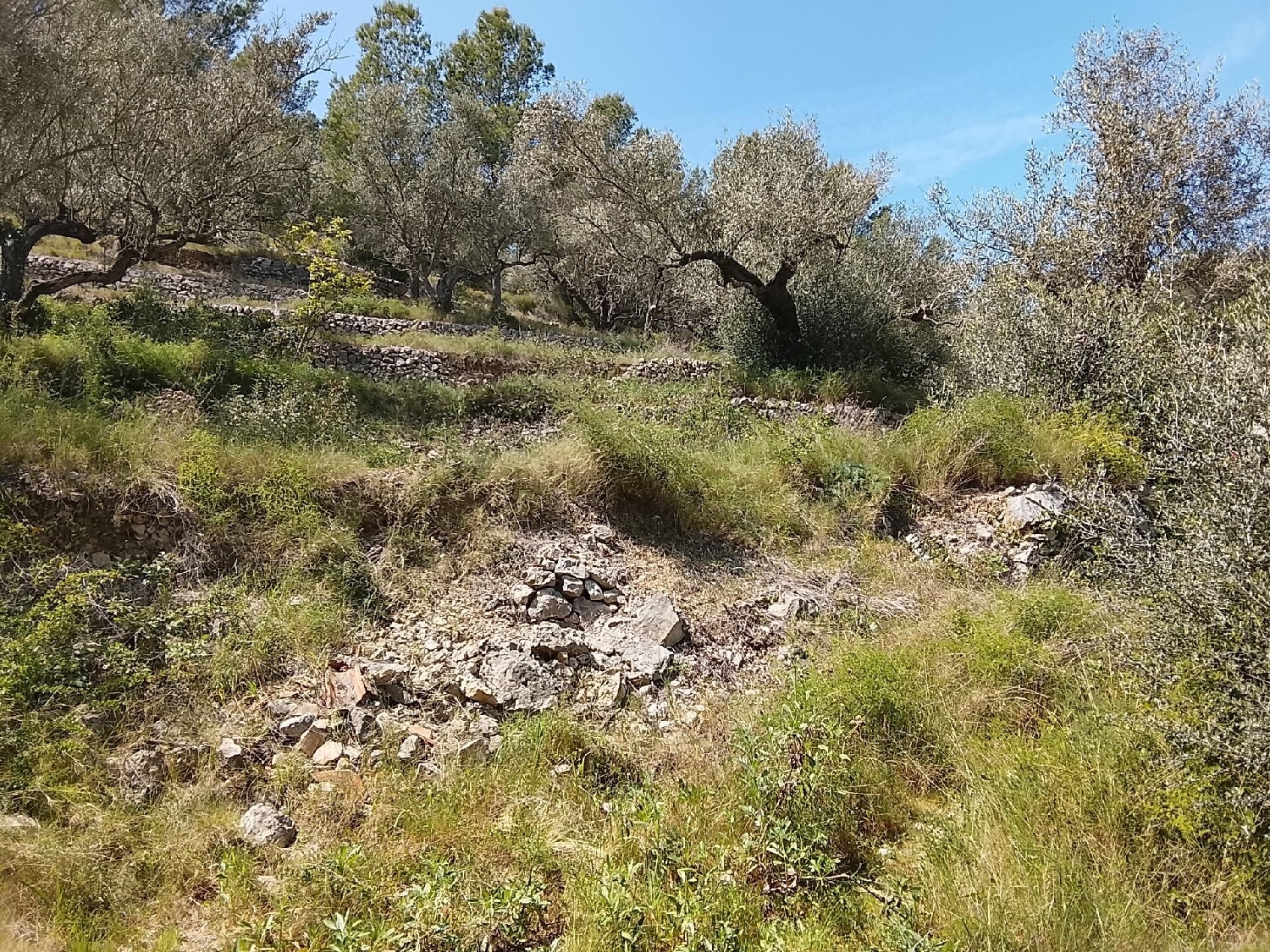  till salu hus på landet Tortosa Baix Ebre 5