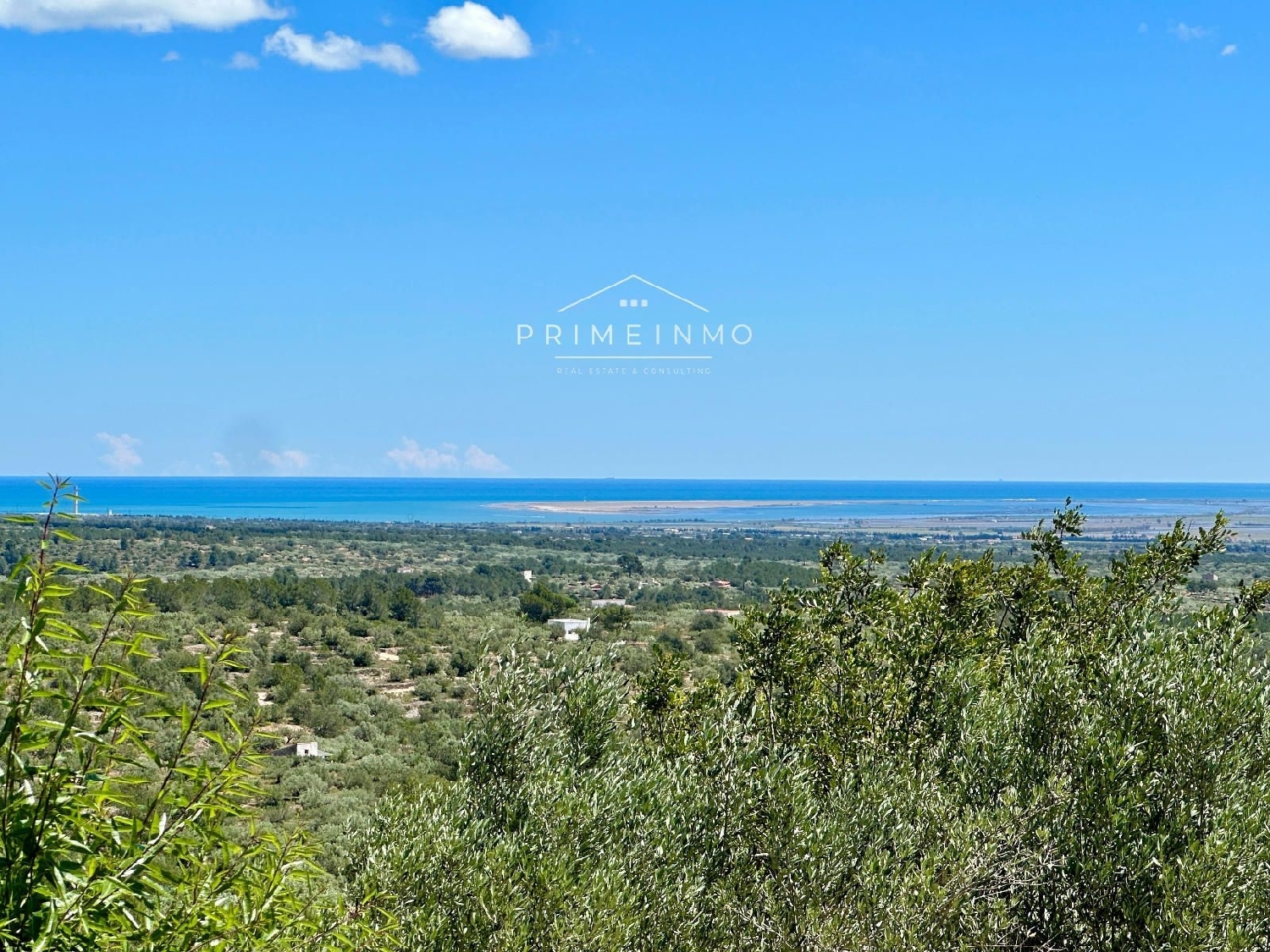  en venta finca rústica Tortosa Baix Ebre 2