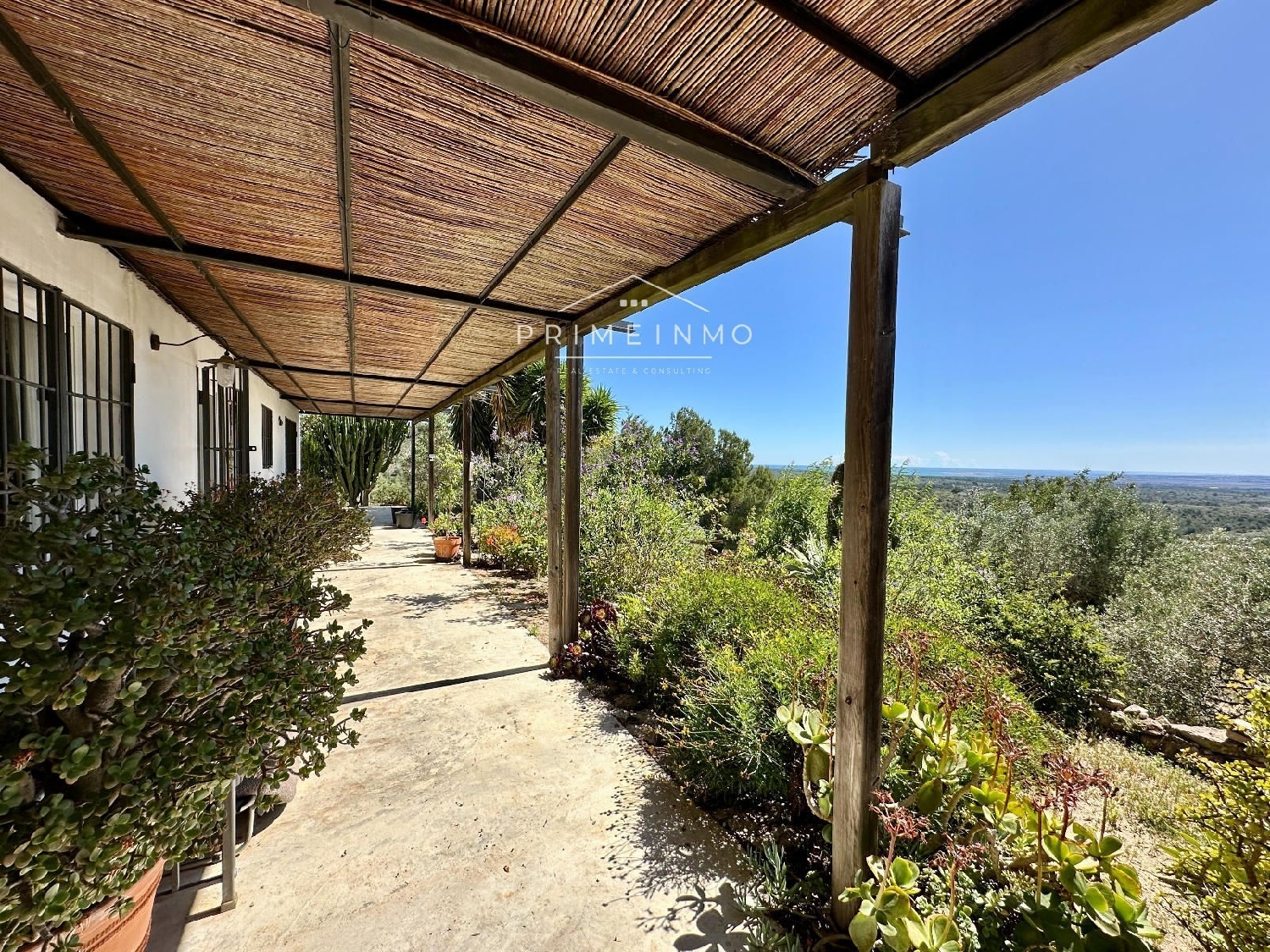  en venta finca rústica Tortosa Baix Ebre 5