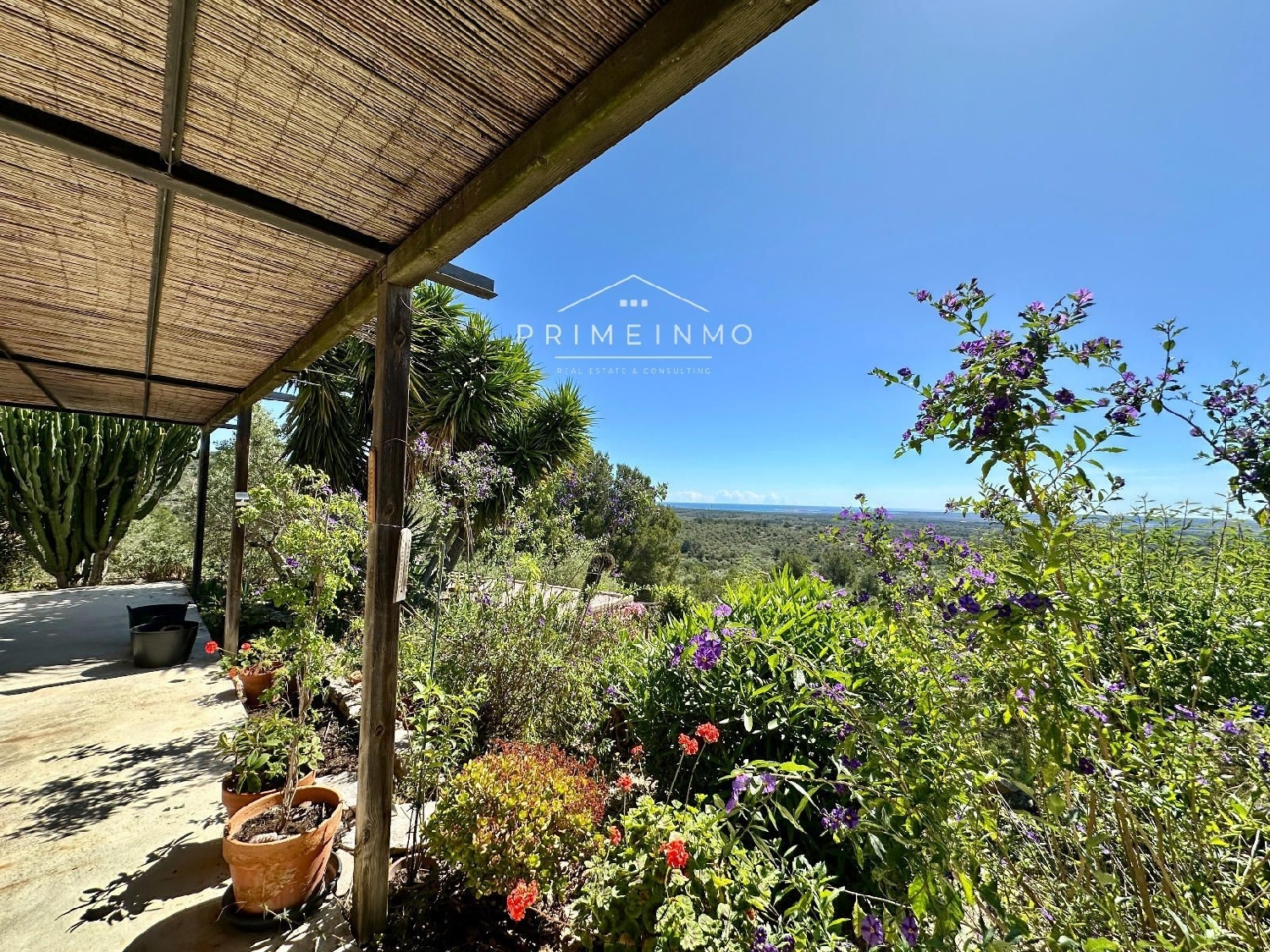  en venta finca rústica Tortosa Baix Ebre 4