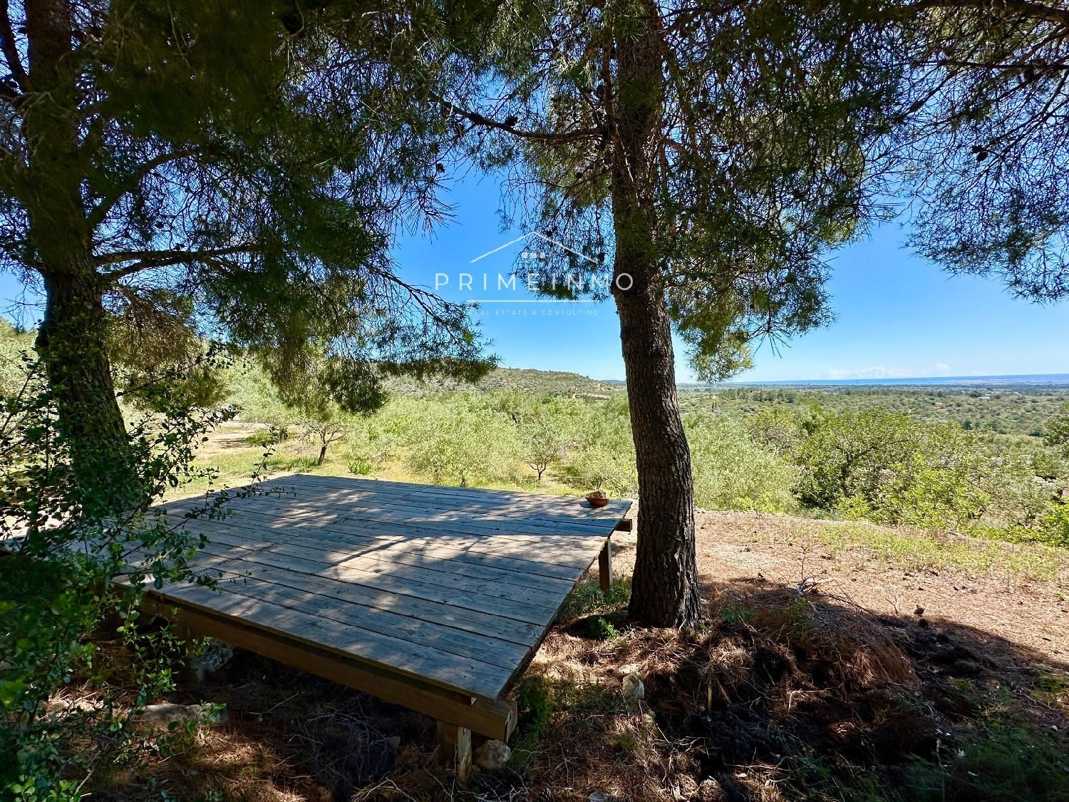  en venta finca rústica Tortosa Baix Ebre 39