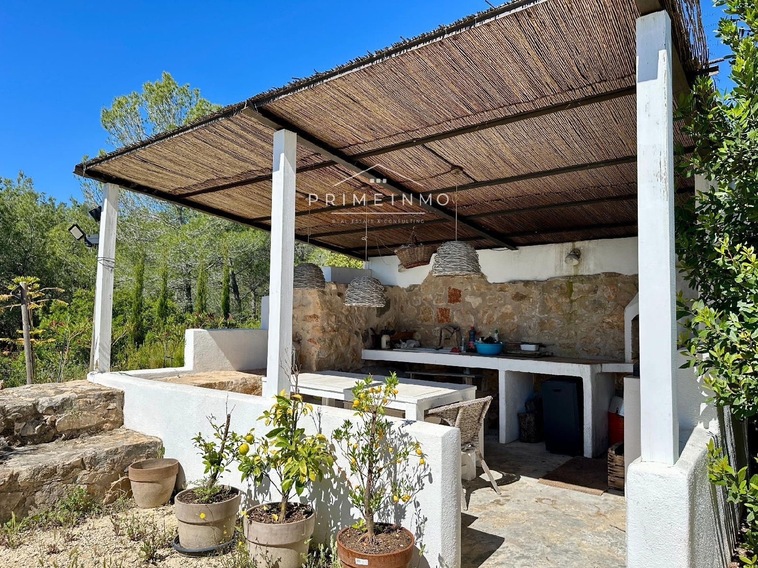  en venta finca rústica Tortosa Baix Ebre 13