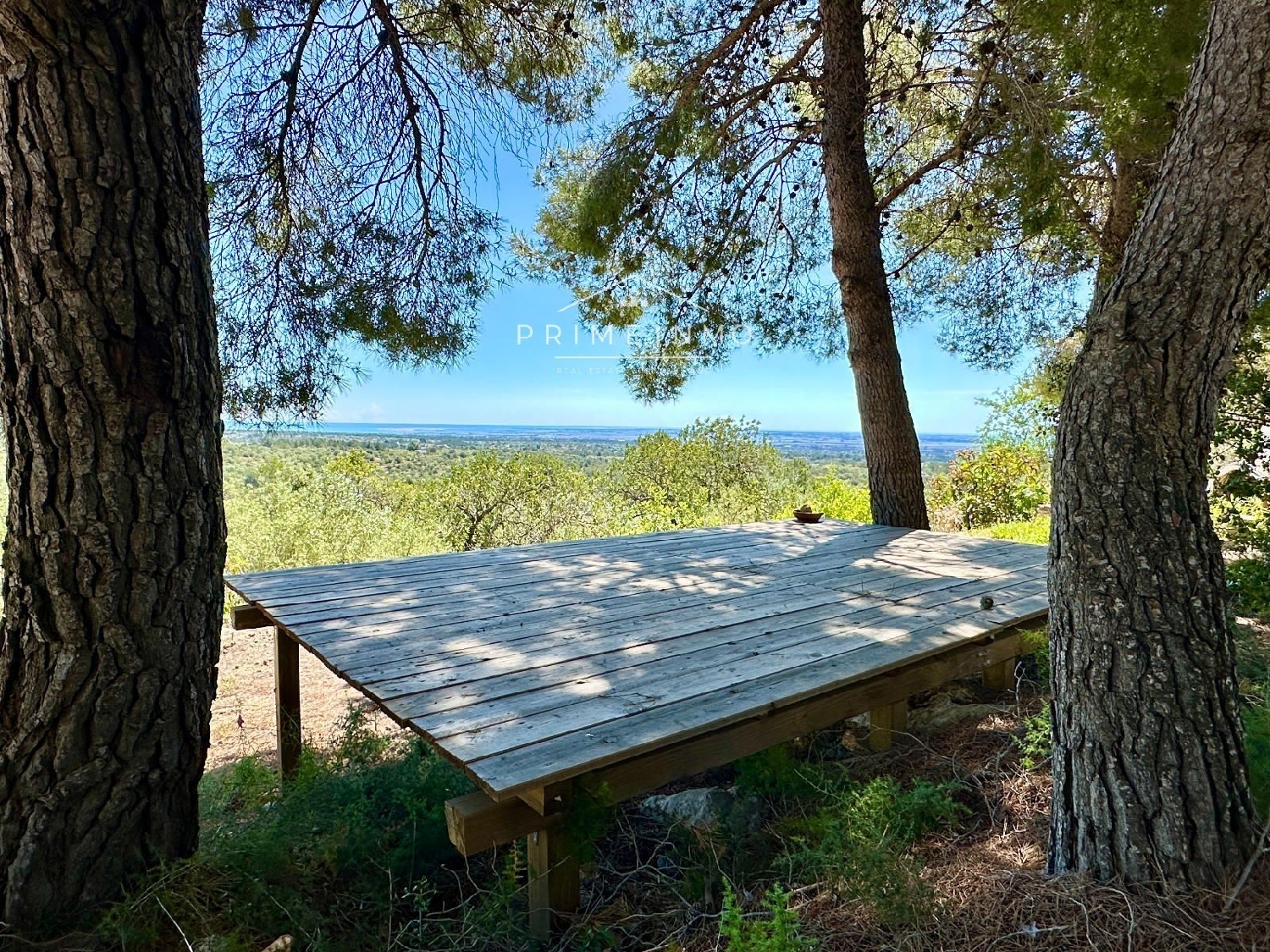 en venta finca rústica Tortosa Baix Ebre 38