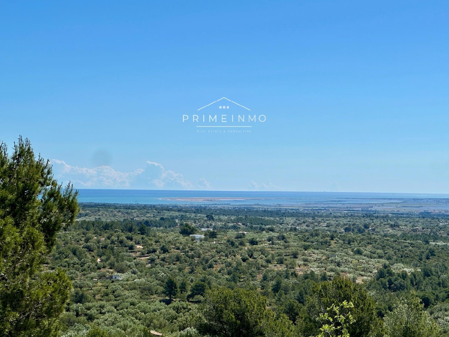  en venta finca rústica Tortosa Baix Ebre 3