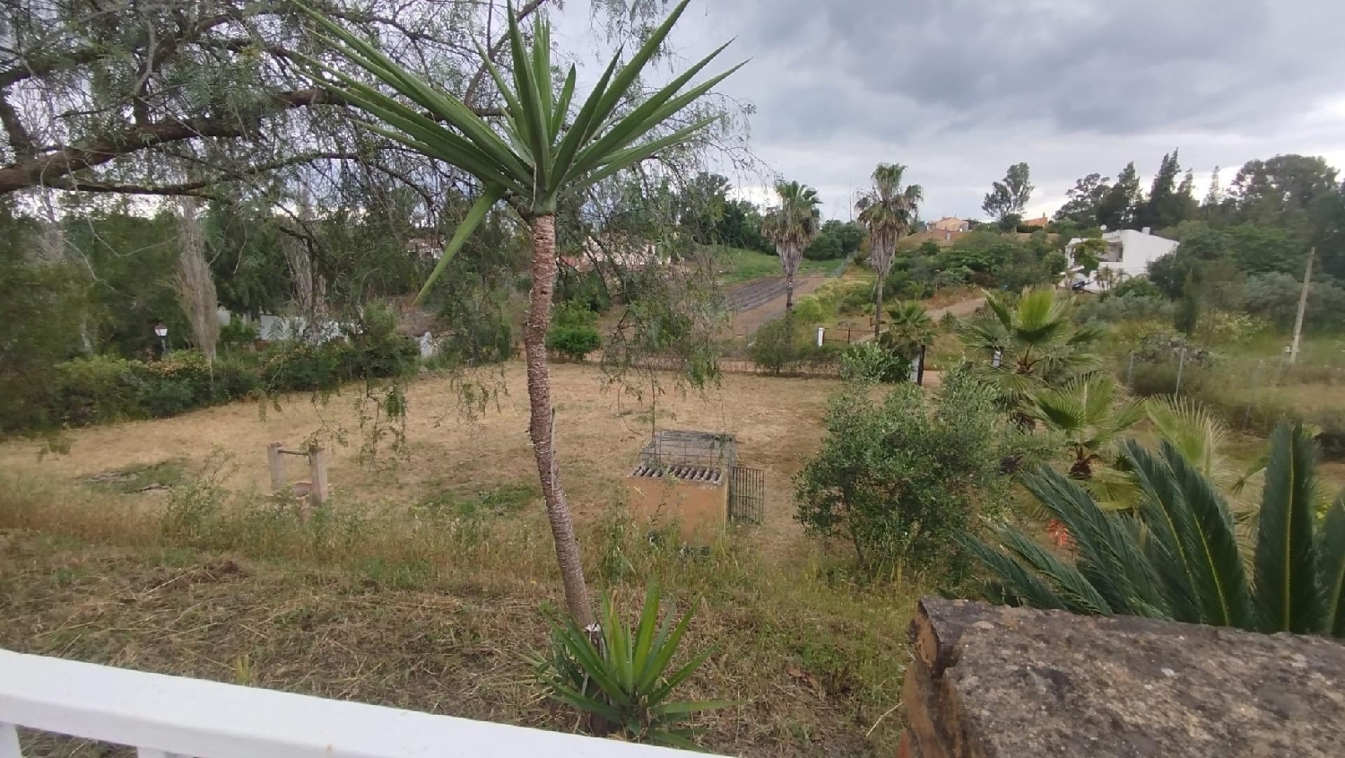  te koop boerderij Trigueros Condado (El) 3