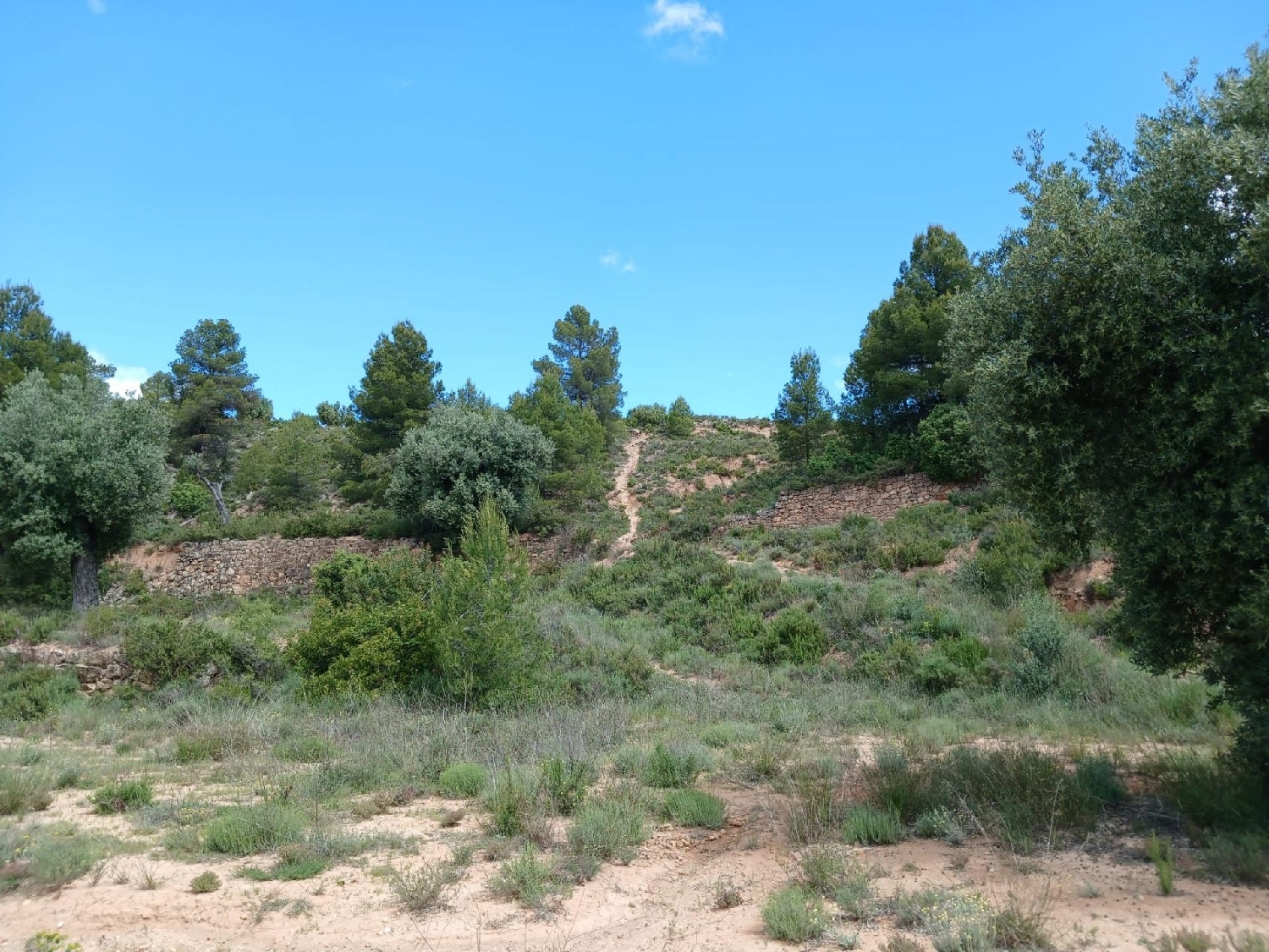  for sale country house Valderrobres Matarraña 8