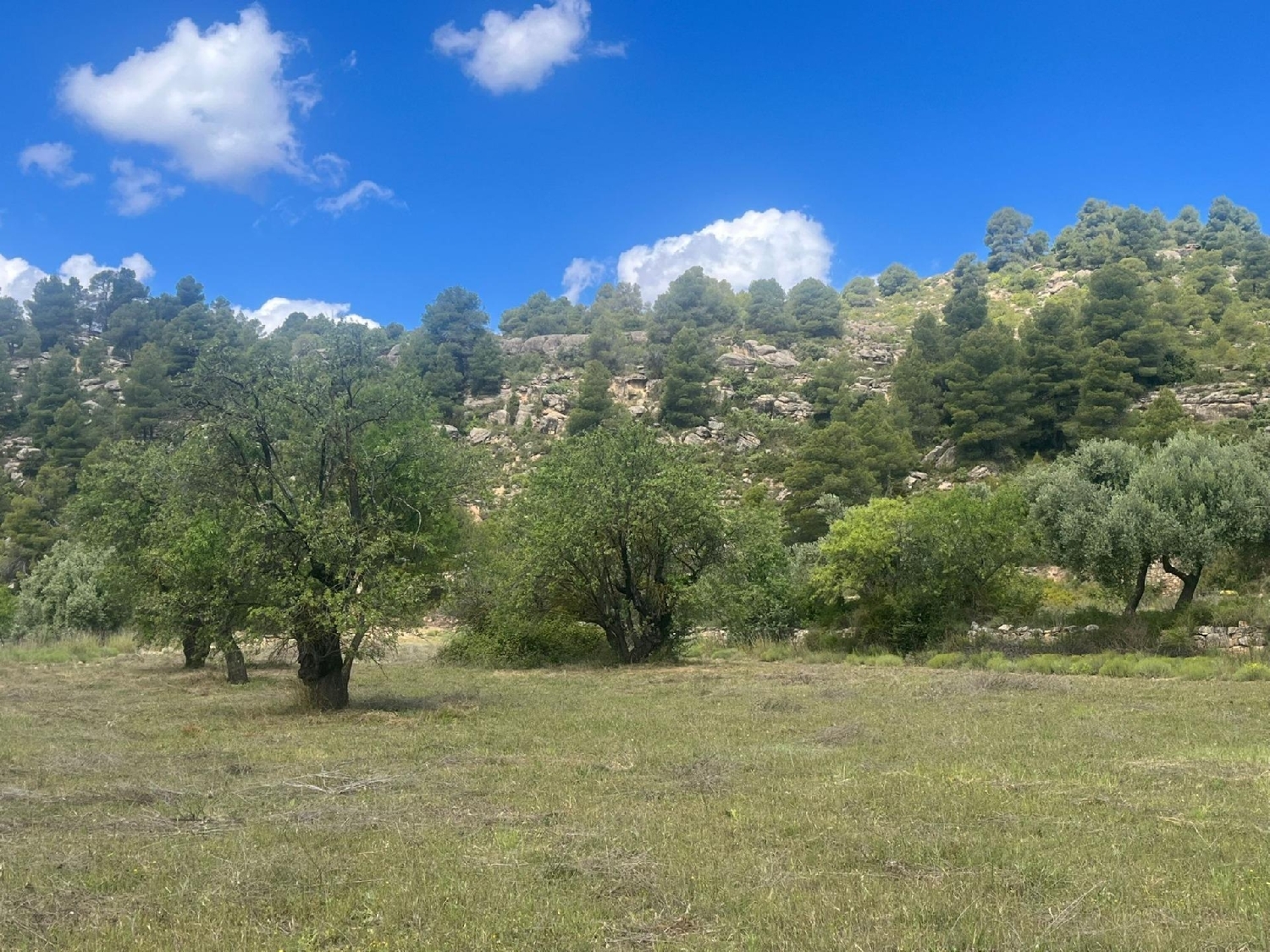  for sale country house Valderrobres Matarraña 5