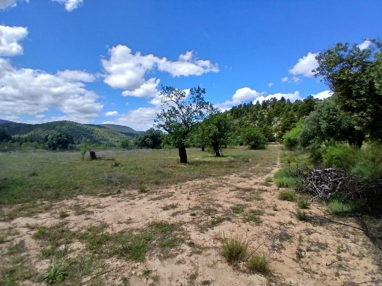  for sale country house Valderrobres Matarraña 2