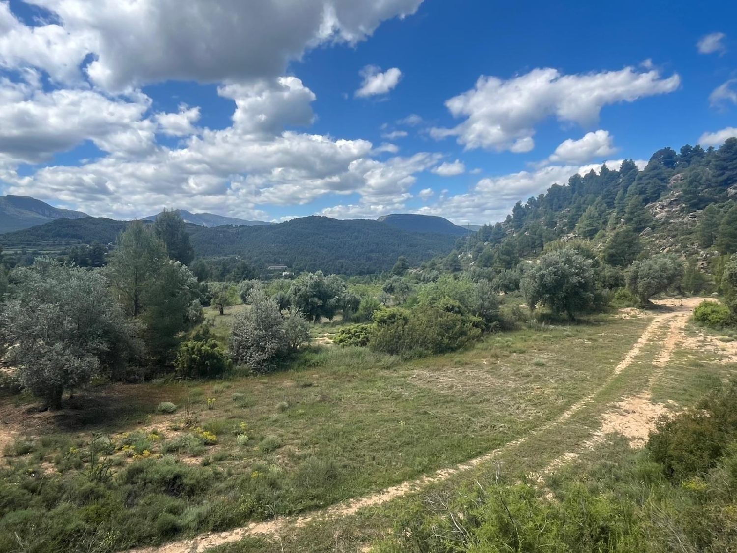  for sale country house Valderrobres Matarraña 6