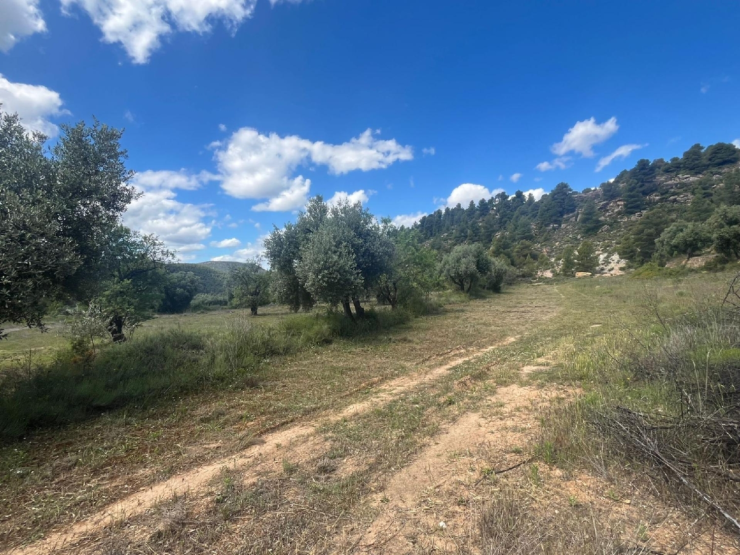  for sale country house Valderrobres Matarraña 7