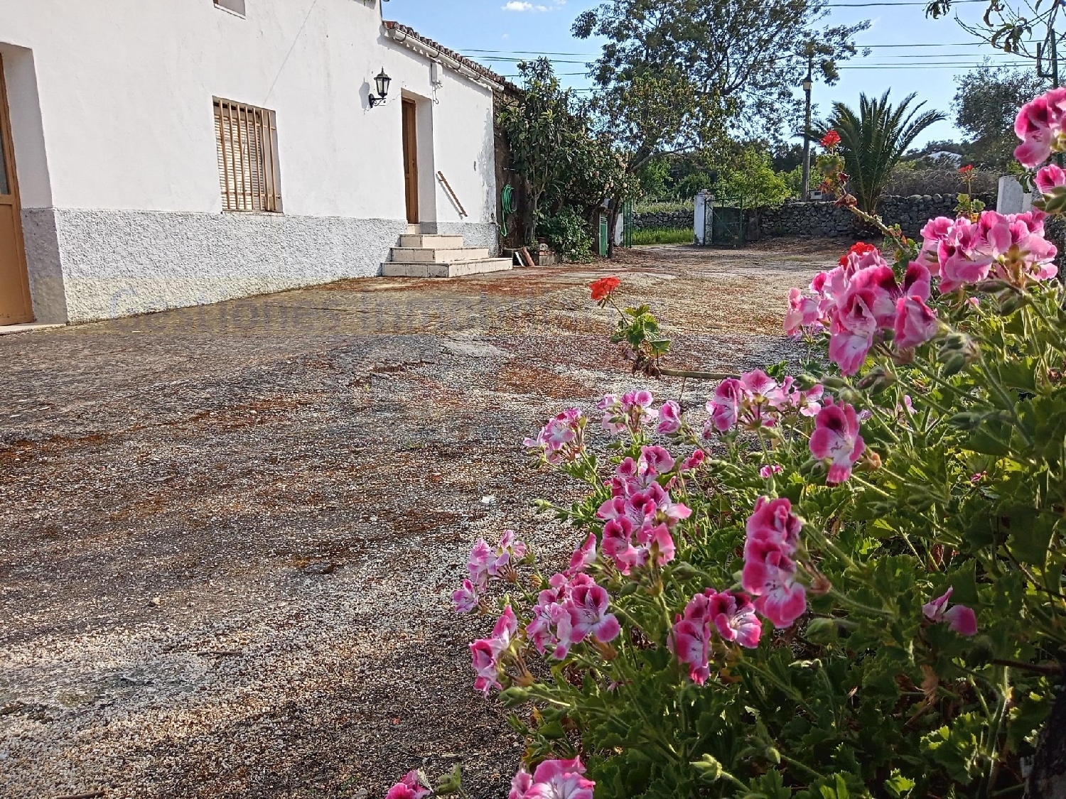 en venta finca rústica Valencia De Alcantara Sierra De San Pedro 4