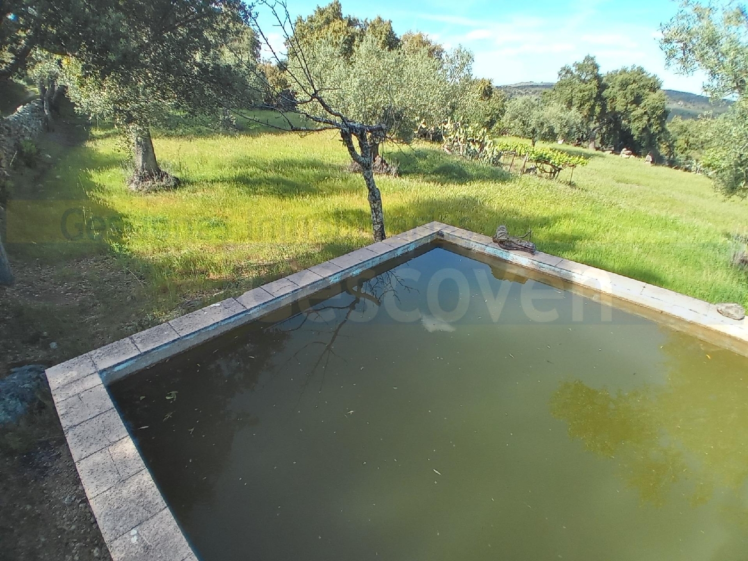 en venta finca rústica Valencia De Alcantara Sierra De San Pedro 7