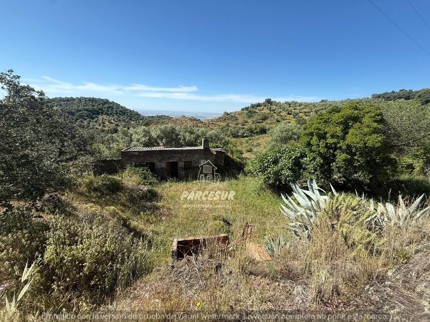 kaufen Landhaus Villafranca De Córdoba Alto Guadalquivir 5