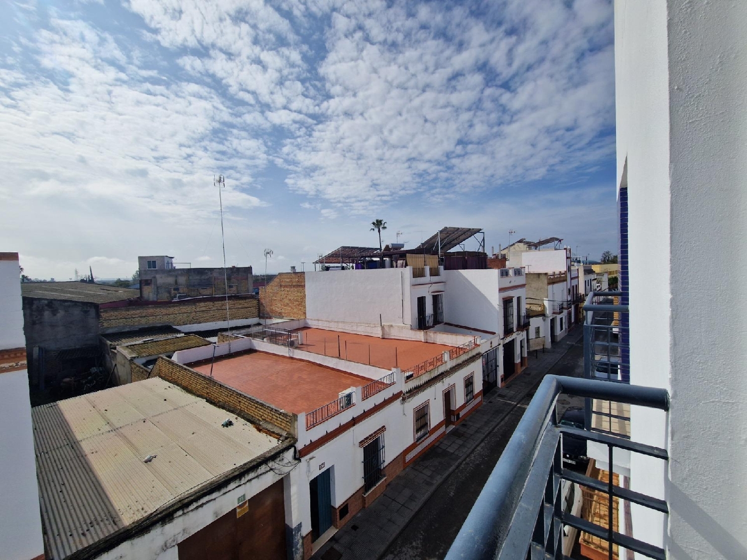  en venta dúplex Los Palacios Y Villafranca Bajo Guadalquivir 8