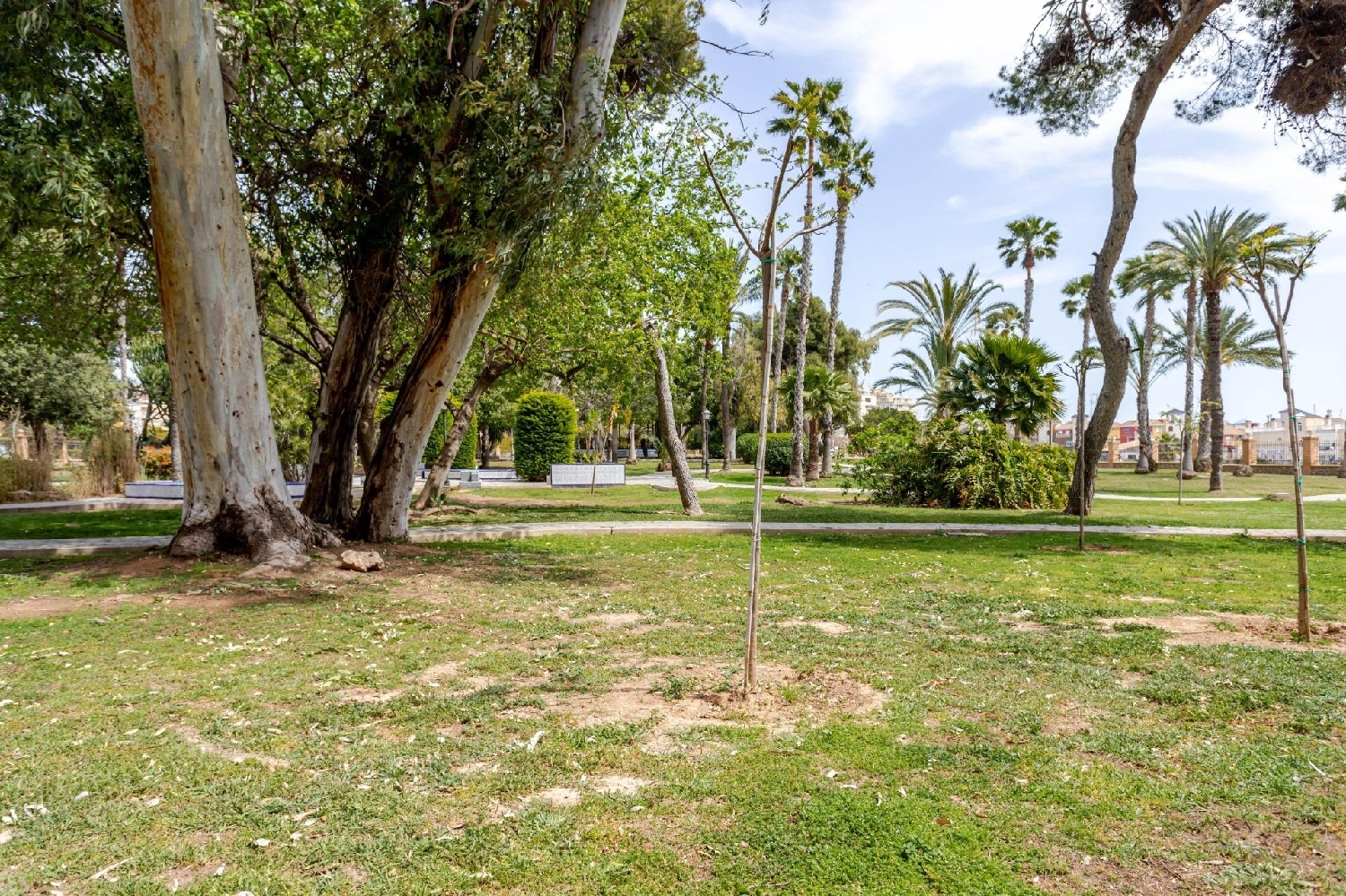  till salu bottenvåning Torrevieja Baix Segura 30