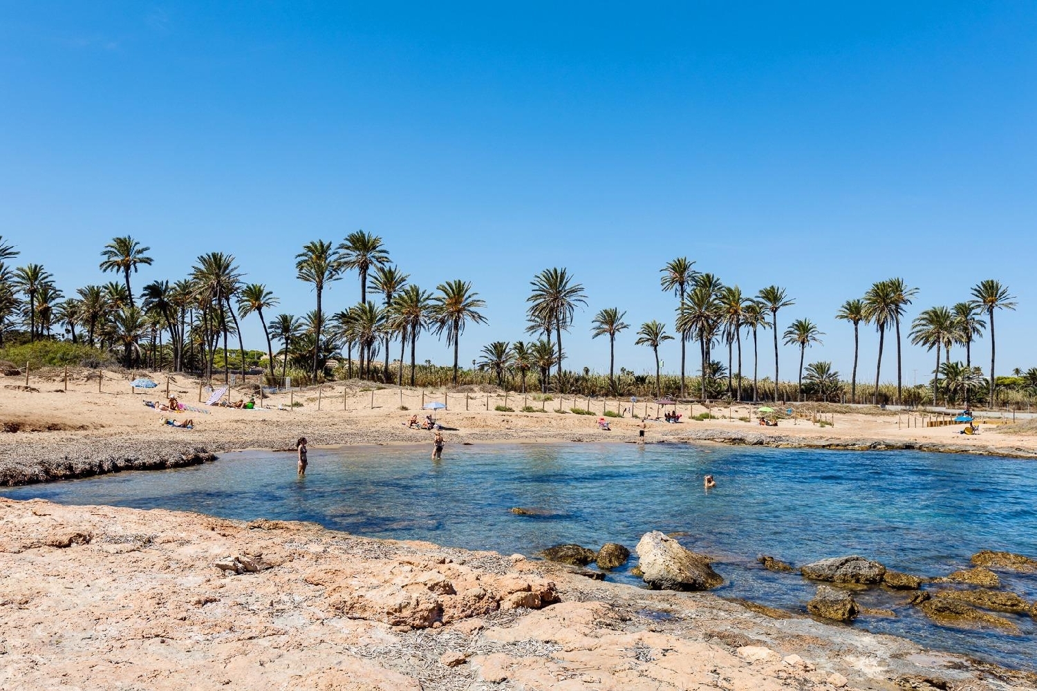  till salu bottenvåning Torrevieja Baix Segura 33