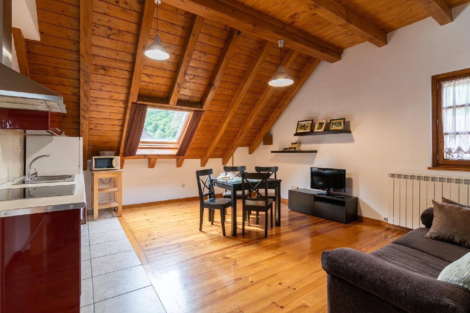 te koop hotel Aribe Pirineo 2
